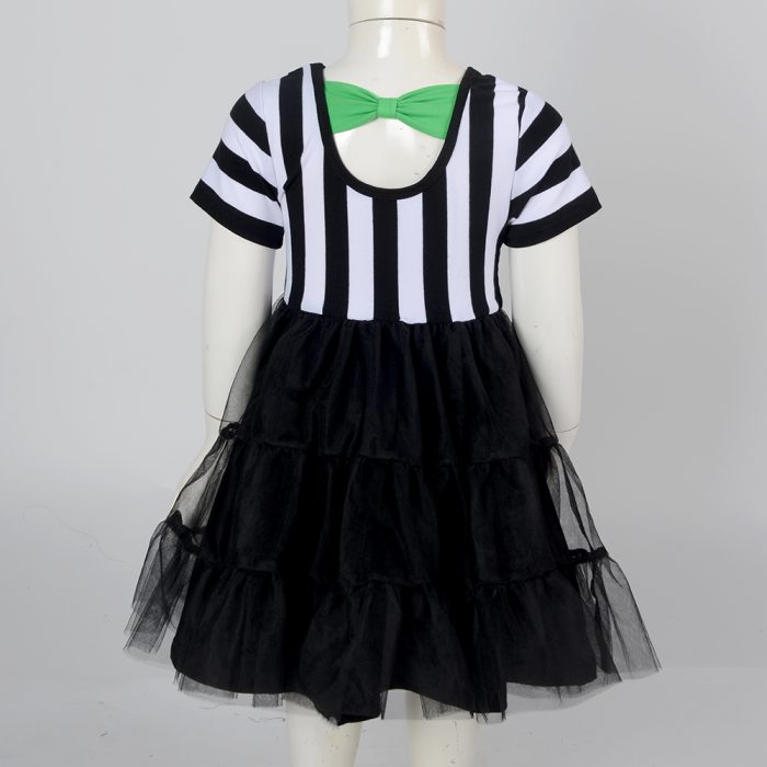 Chiffon Dress Kid Girl
